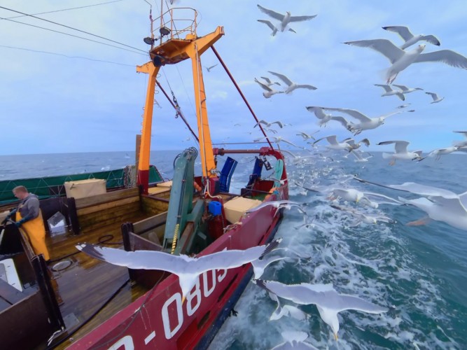 Zvejniecības 360 VR video virtuālās realitates pieredze
